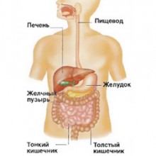 Заболевания пищеварительной системы