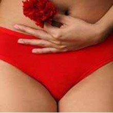 Менструальный цикл и менструация Менструальный цикл и менструация