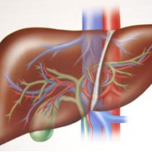 Печеночная недостаточность