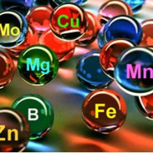 Минералы и микроэлементы
